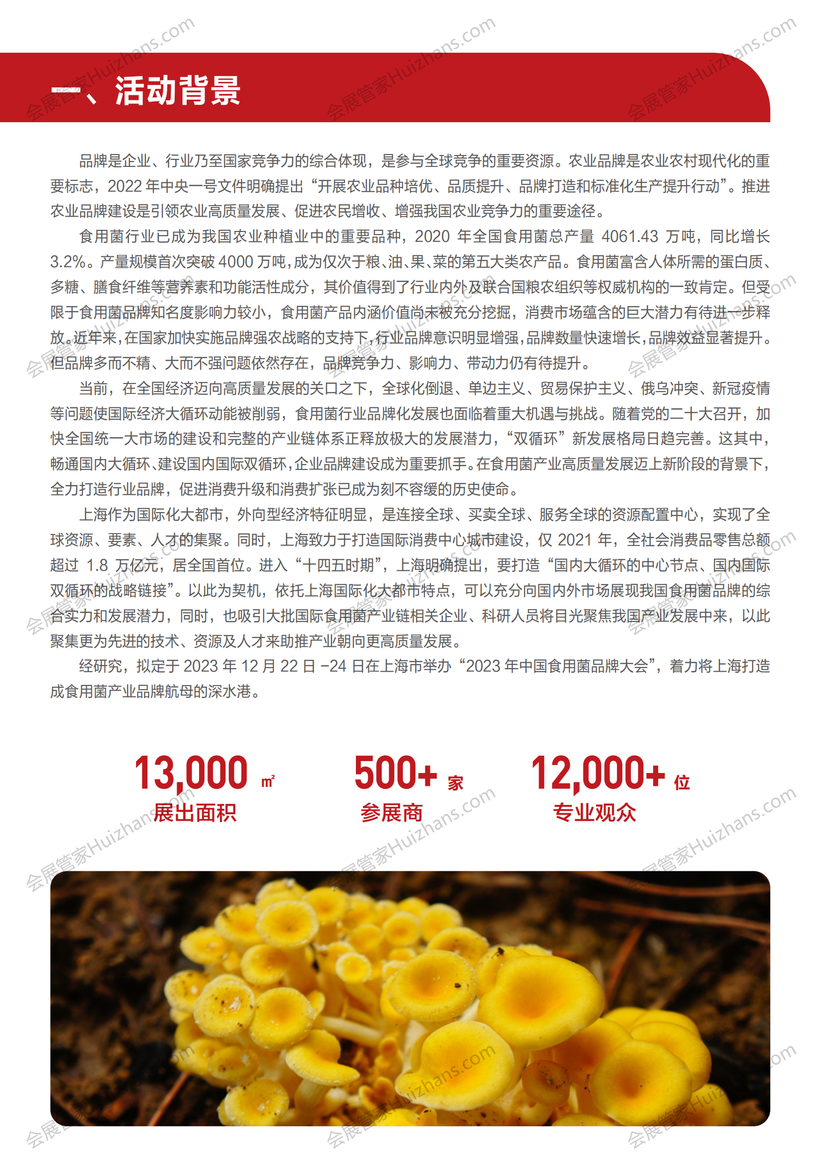 2023 中国食用菌品牌大会 2376_01.png
