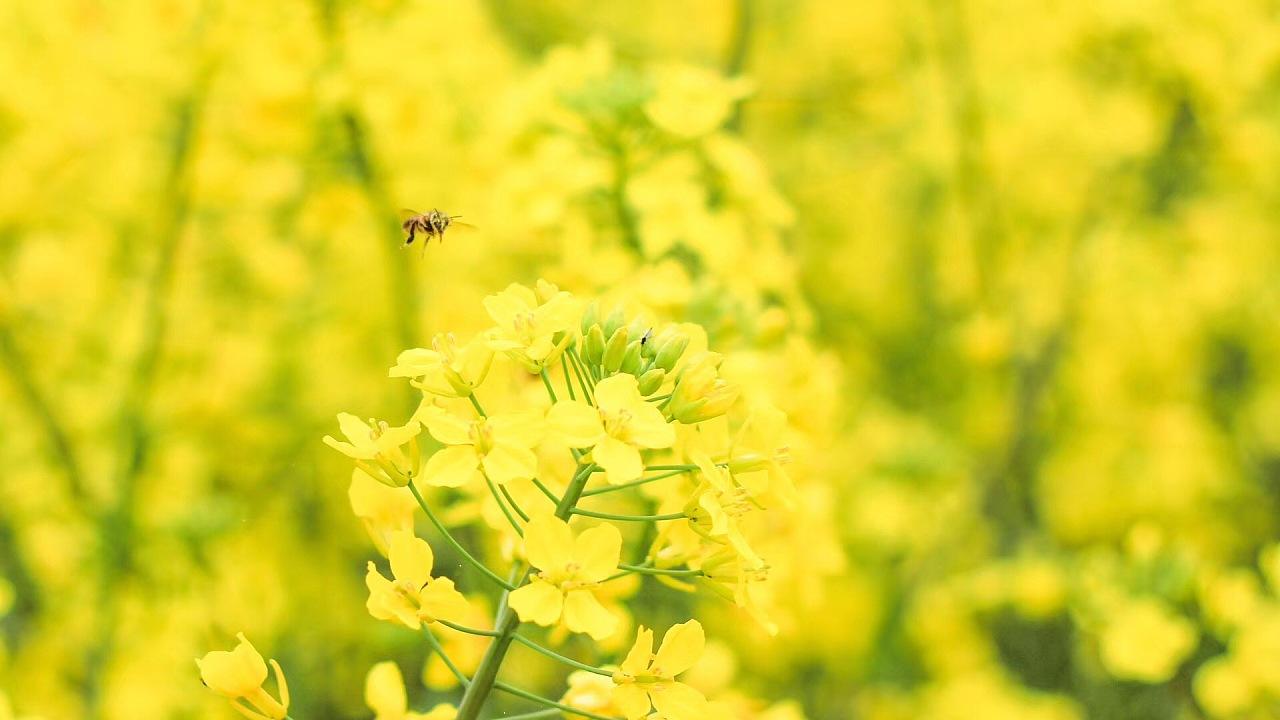 利多星荐股可靠吗？接连亏损不可靠，荐股骗局揭秘!可依法退款！
